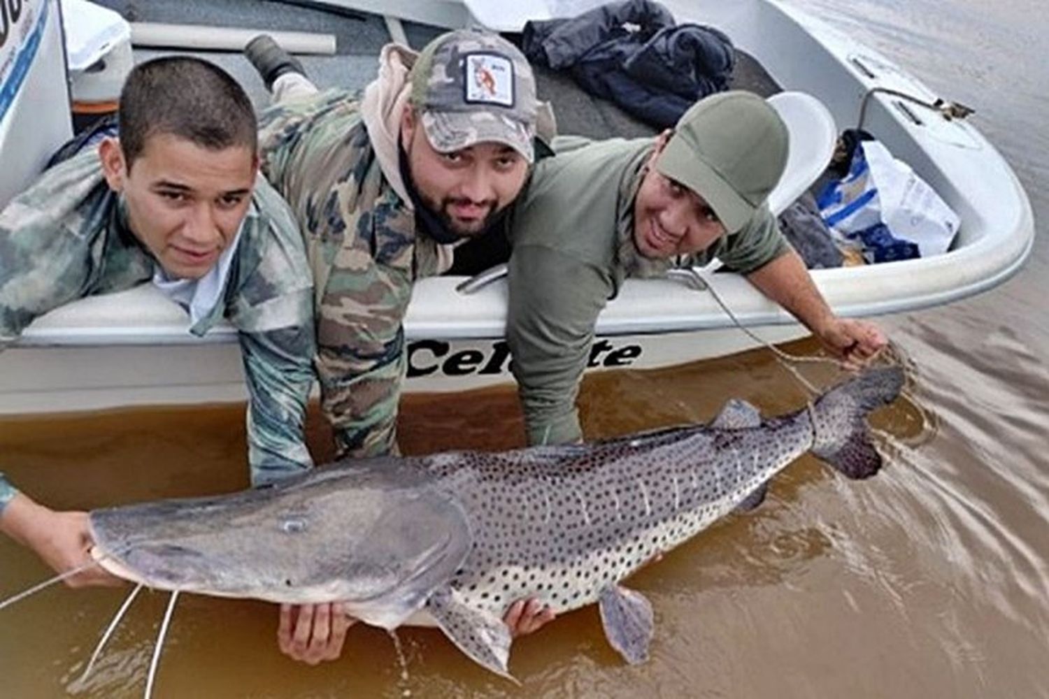 La CARU realizó un estudio para poder evaluar la población del Surubí en las aguas del río Uruguay