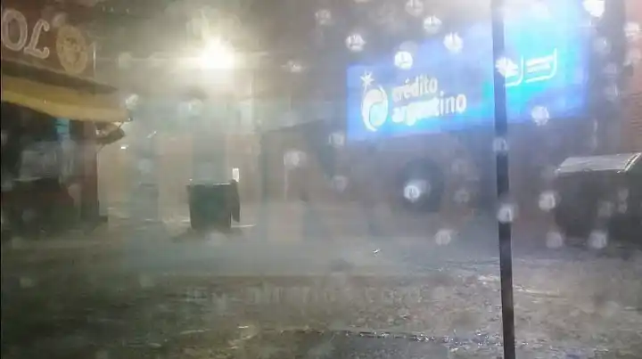 Temporal en Paraná: Autos arrastrados por el agua, caída de árboles y viviendas anegadas