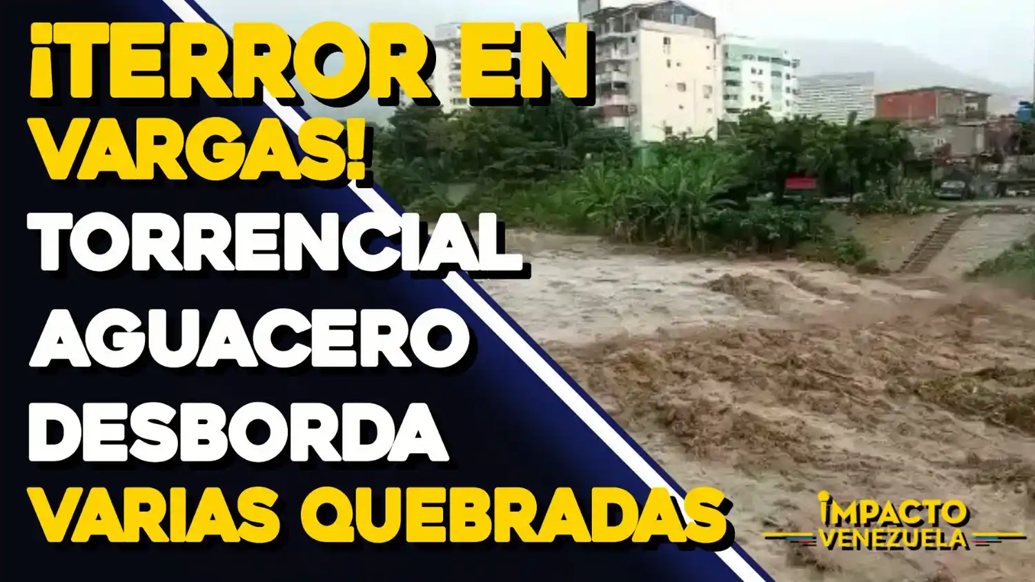 ¡TERROR EN VARGAS! Torrencial aguacero desborda varias quebradas VIDEO- IMPACTO VENEZUELA