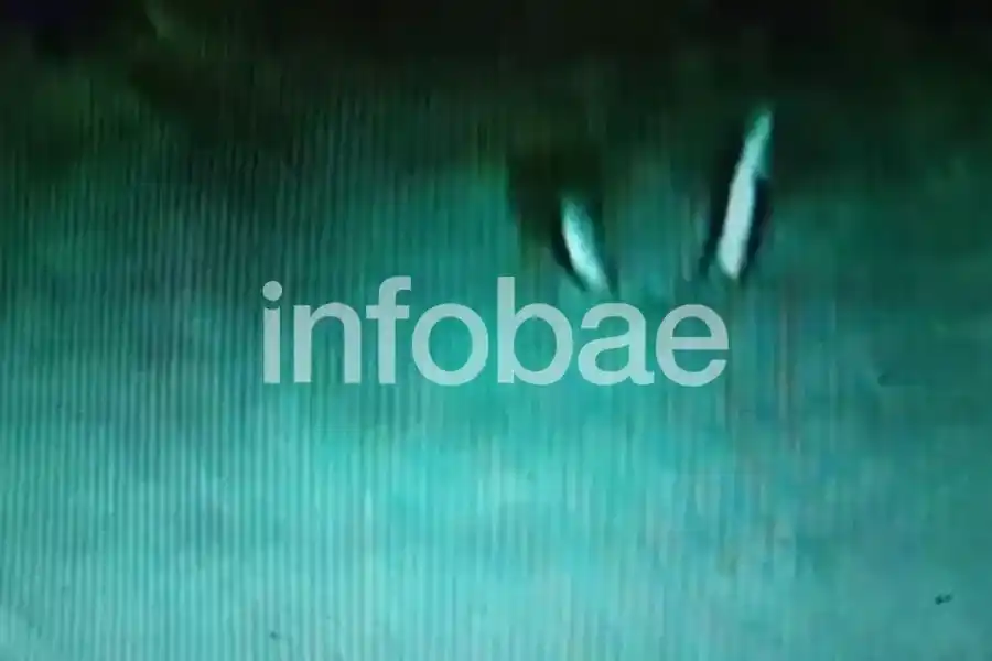 Restos metálicos del ARA San Juan en el lecho marino. El submarino de la Armada Argentina fue hallado a 907 metros de profundidad