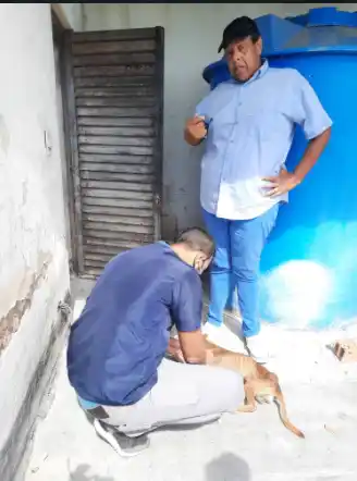 Roberto Hernández estuvo presente durante la evaluación de los perros. Fotos cortesía