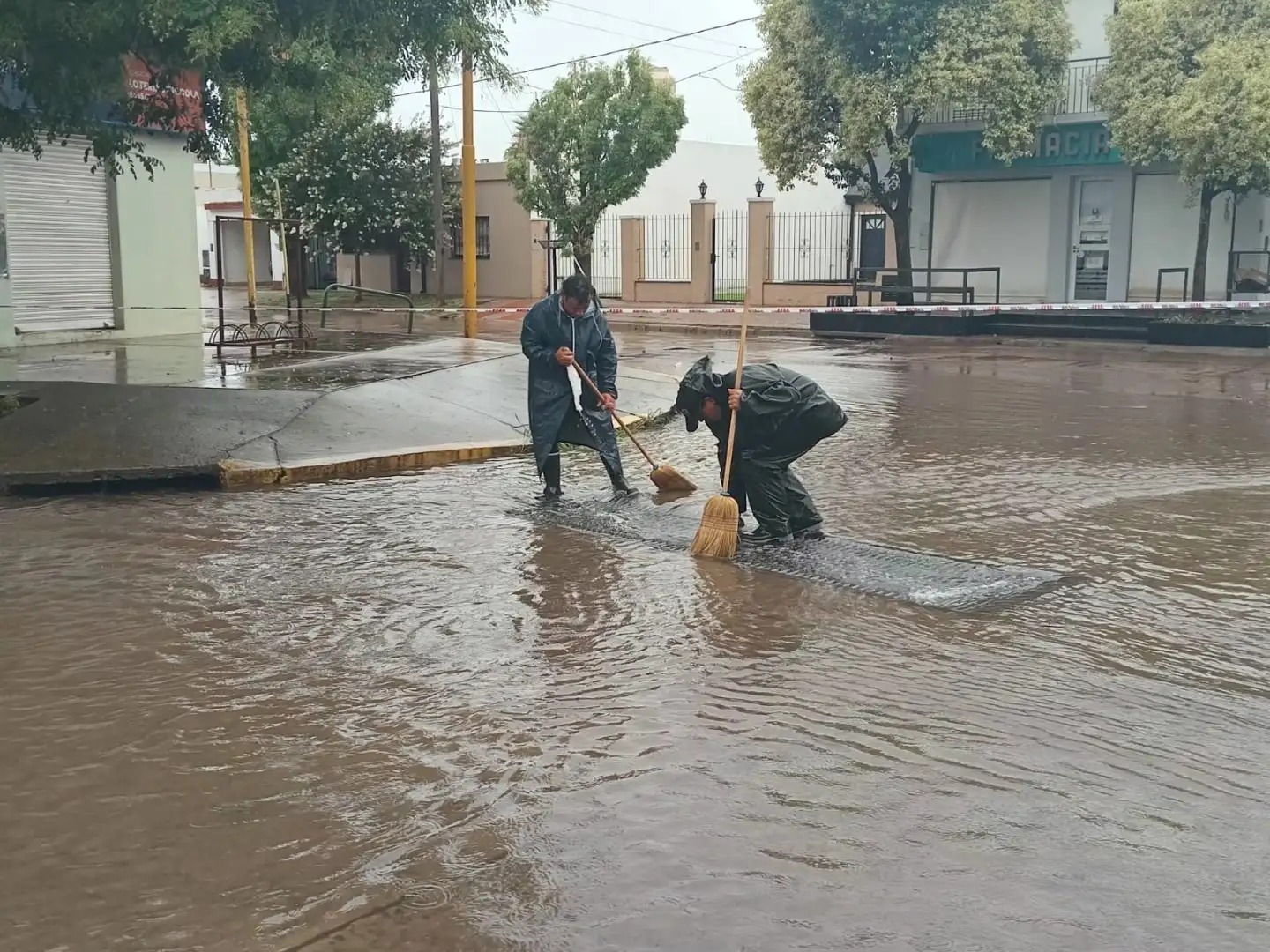 lluvia Firmat