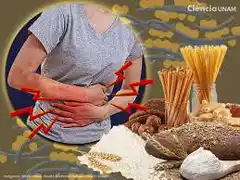 La Celiaquía: Testimonio para llevar una vida sin angustias, adaptándose a las condiciones alimenticias