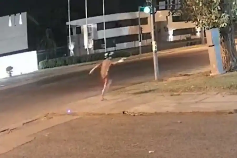 De forma mafiosa, atacaron con arma de fuego al grupo de Televisión Litoral