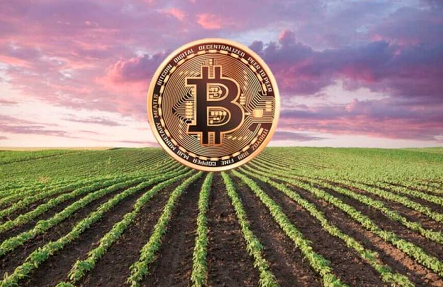 La criptomoneda pensada en el agro: «Si al productor le explicás que estás digitalizando un producto que ya tiene le va a interesar»