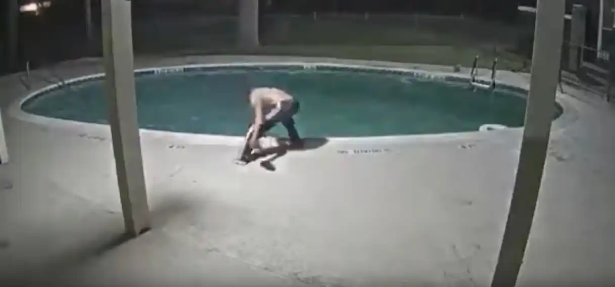 Quedó todo registrado: detienen a un joven por torturar un gato y tirarlo a la pileta