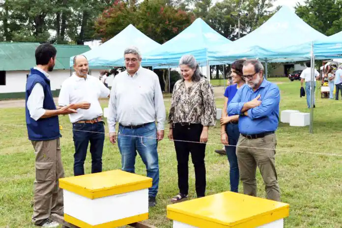 Créditos para fortalecer el sector apícola