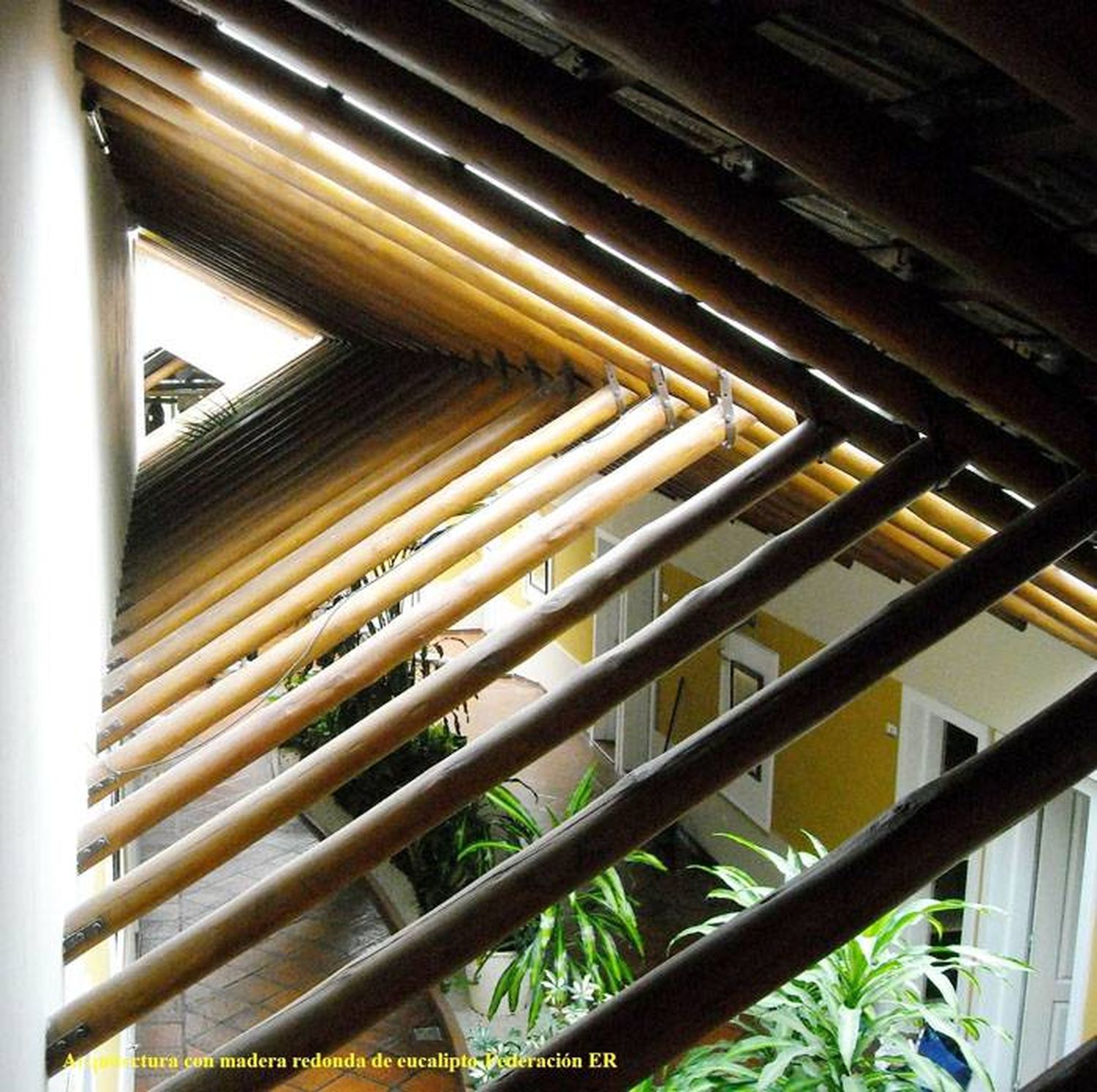 Versatilidad de la Madera redonda de eucalipto 