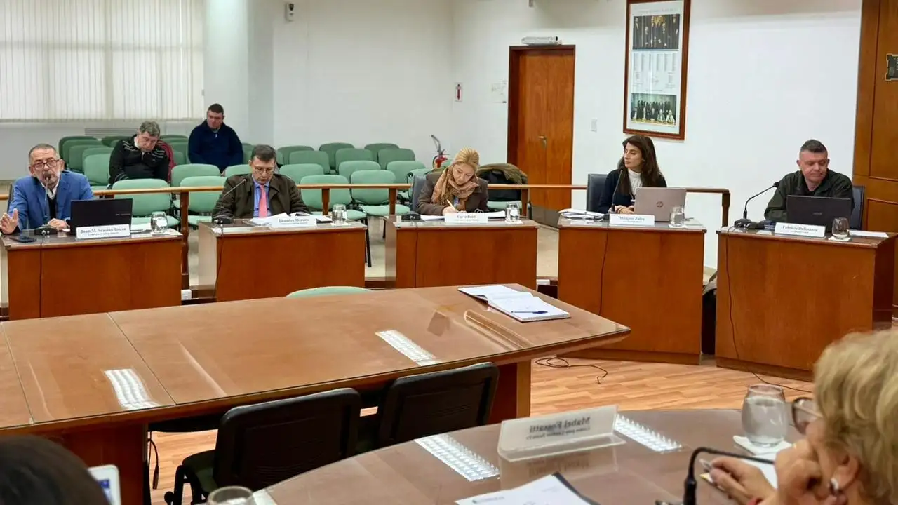 El Concejo Municipal aprobó proyectos clave sobre vivienda, modernización y mantenimiento urbano - 1