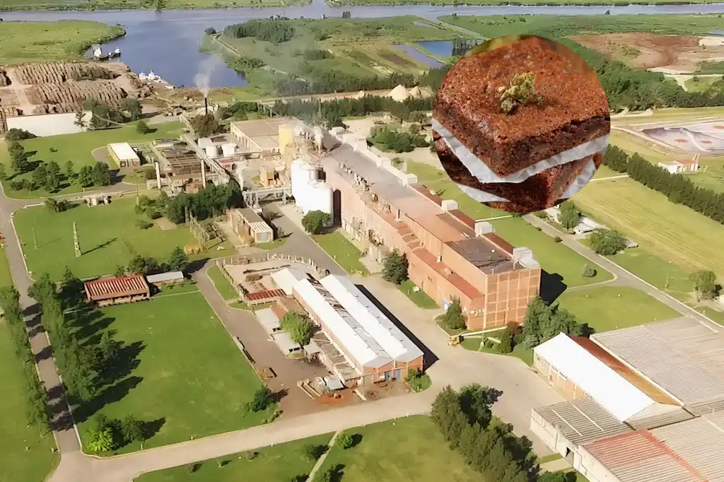 Ocurrió en la planta ubicada en San Pedro.
