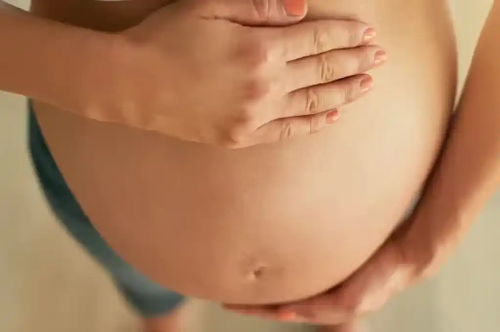 “Se trata de un caso novedoso que aún no está legislado en el país, pero tampoco está prohibido", señaló el abogado del caso.