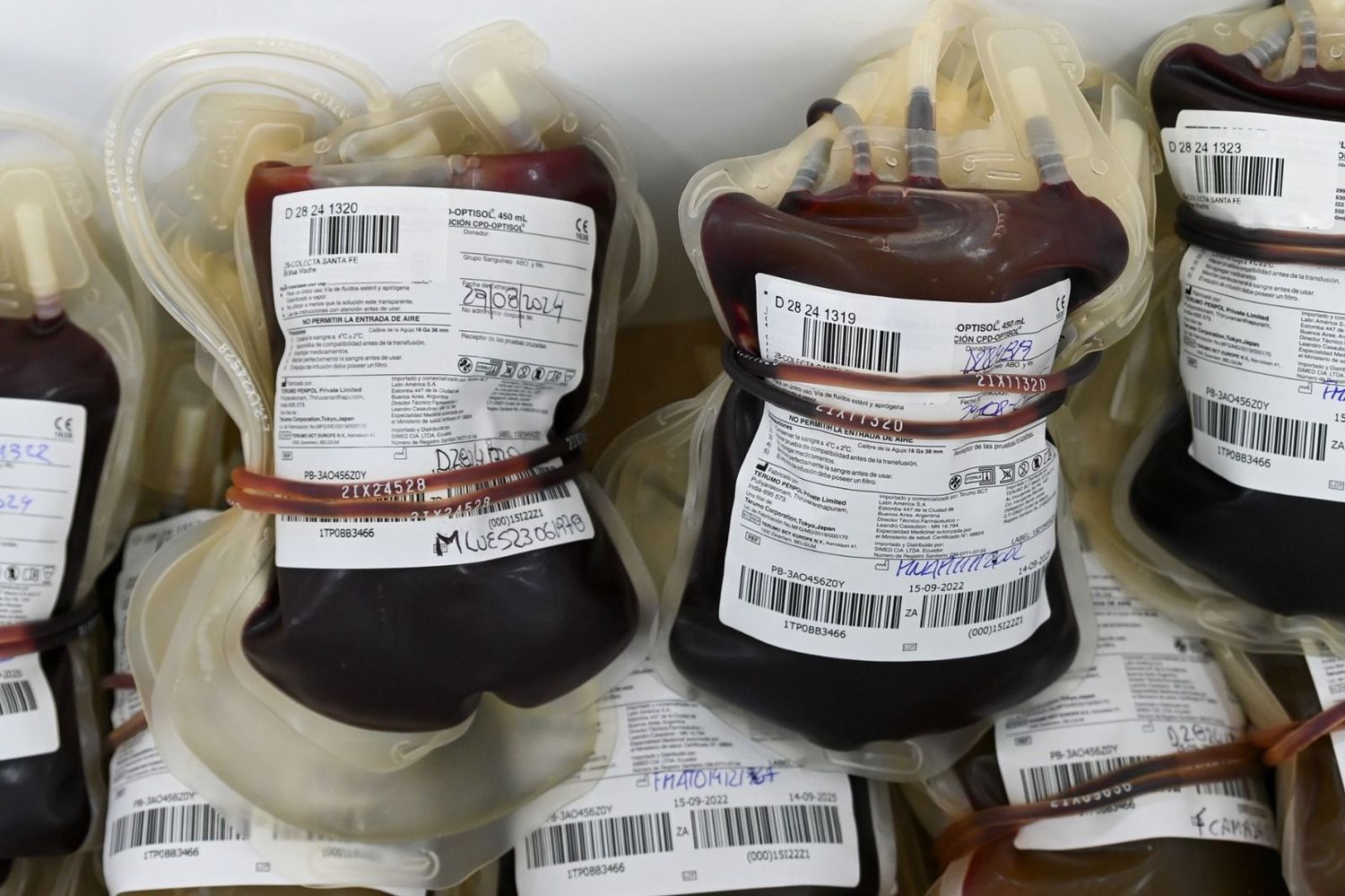 donación de sangre - 2