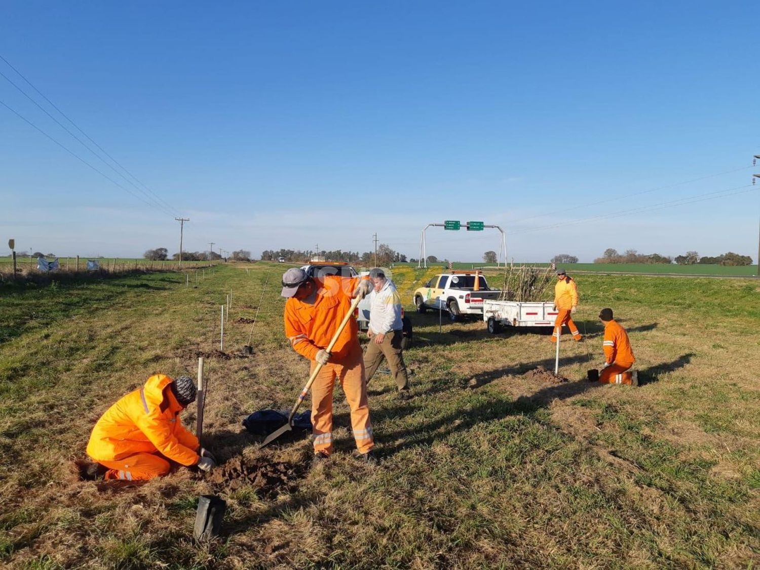 Vialidad provincial comenzó la entrega de árboles para la forestación de rutas y accesos