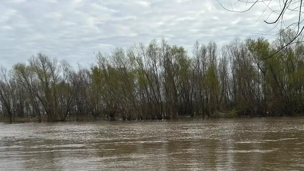 La crecida preocupa a los productores ante el impacto del fenómeno El Niño en la región.