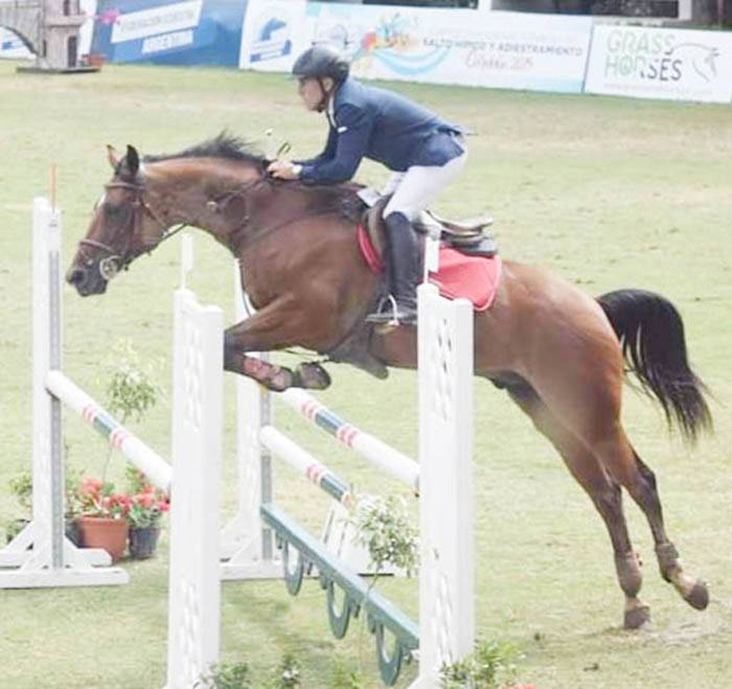 Práctica Deportiva con saltos Hípicos en Concordia