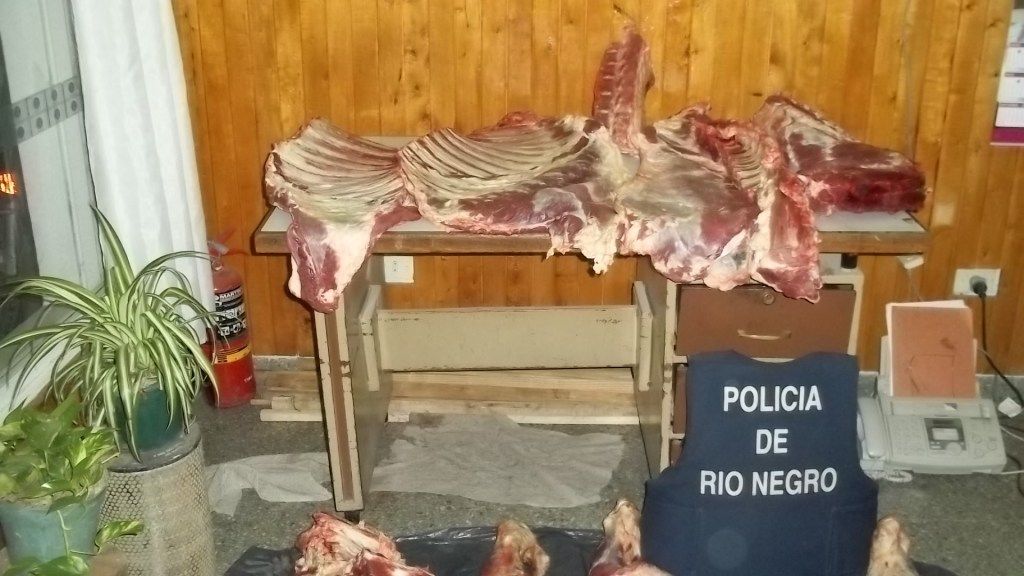 Tordillo: Decomisaron carne vacuna transportada en auto particular