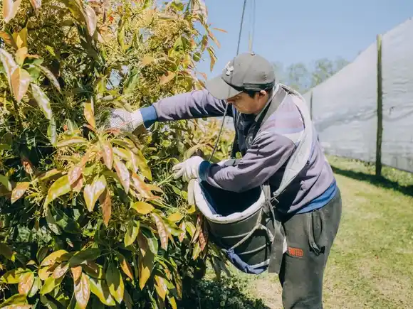Mar del Plata será sede del V Simposio de Residuos Agropecuarios y Agroindustriales