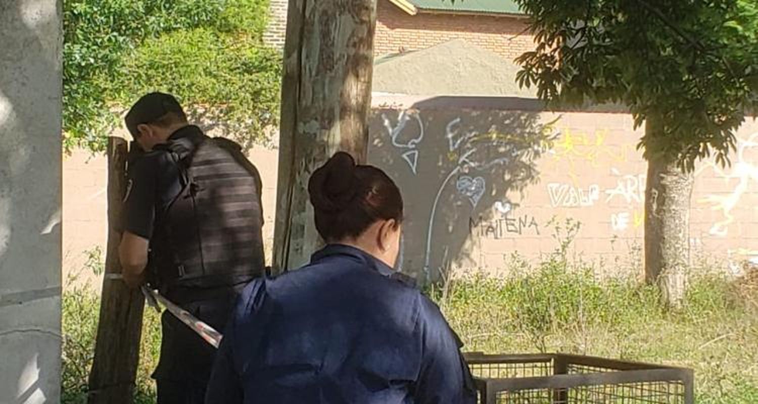 Abuso en 9 de Julio y Thorne: la víctima ratificó que fue violada y denunció amenazas