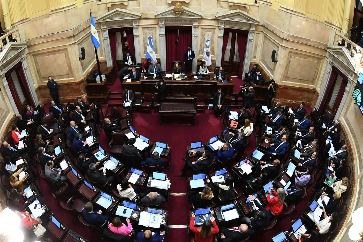 El Senado dio media sanción al proyecto para pagarle al FMI con un impuesto a los bienes no declarados