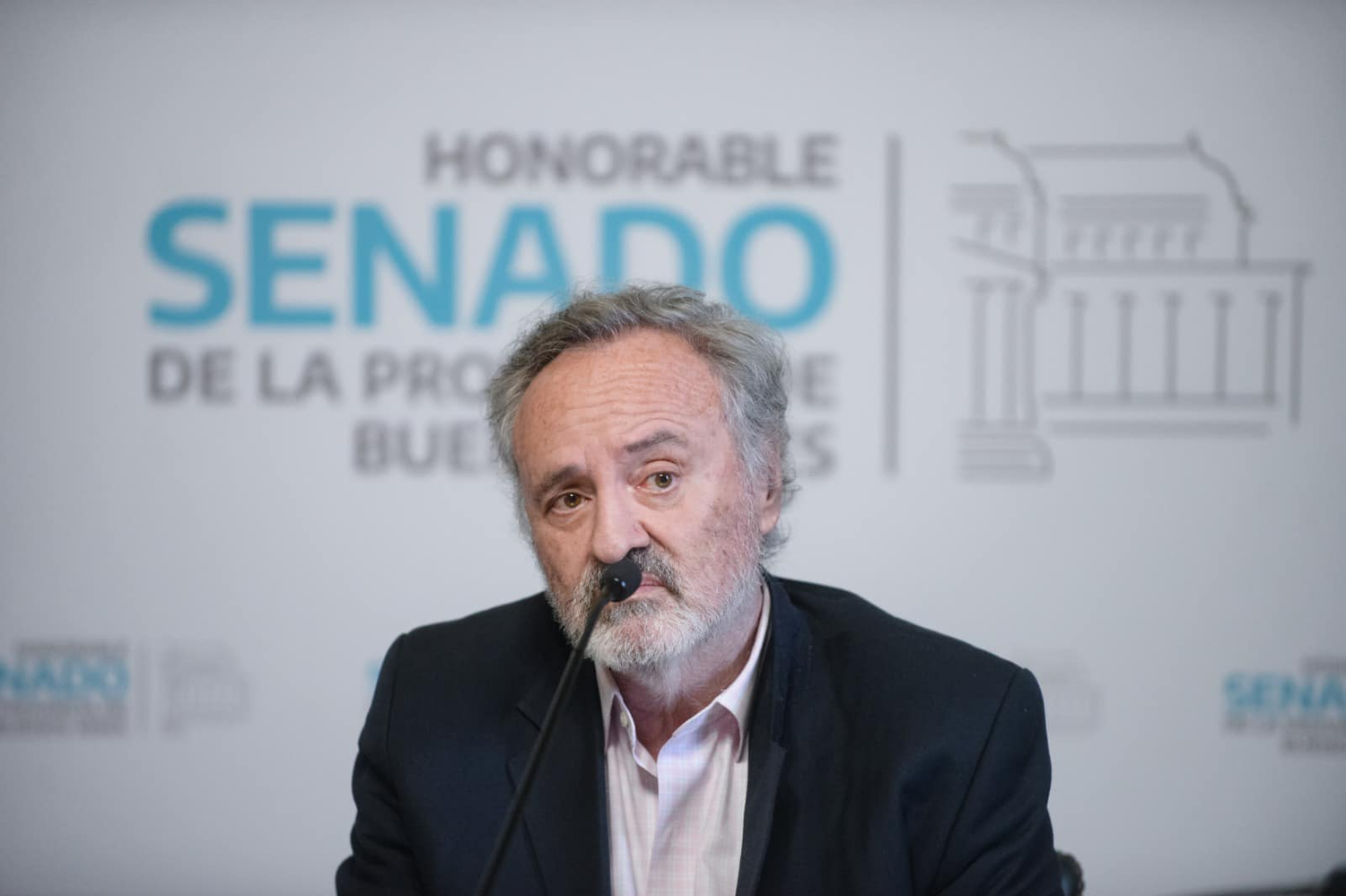 Senador De la Torre criticó las "políticas de control de natalidad": "Buscaron destruir a las familias y a nuestro país"