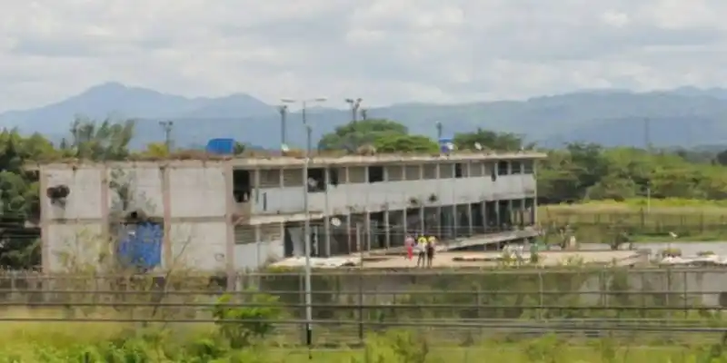 PRESOS de Tocuyito se comieron a la perra rottweiler del exdirector