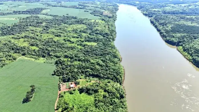 Detectaron dos hectáreas de marihuana a metros del río Paraná