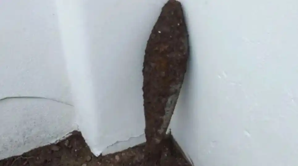 Hacía pozos en el jardín de su casa para poner plantitas y encontró un misil