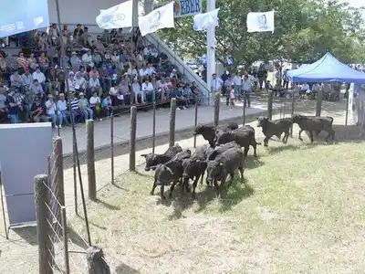 Con gran éxito se realizó la Feria
Ganadera Paippera en Laguna Blanca