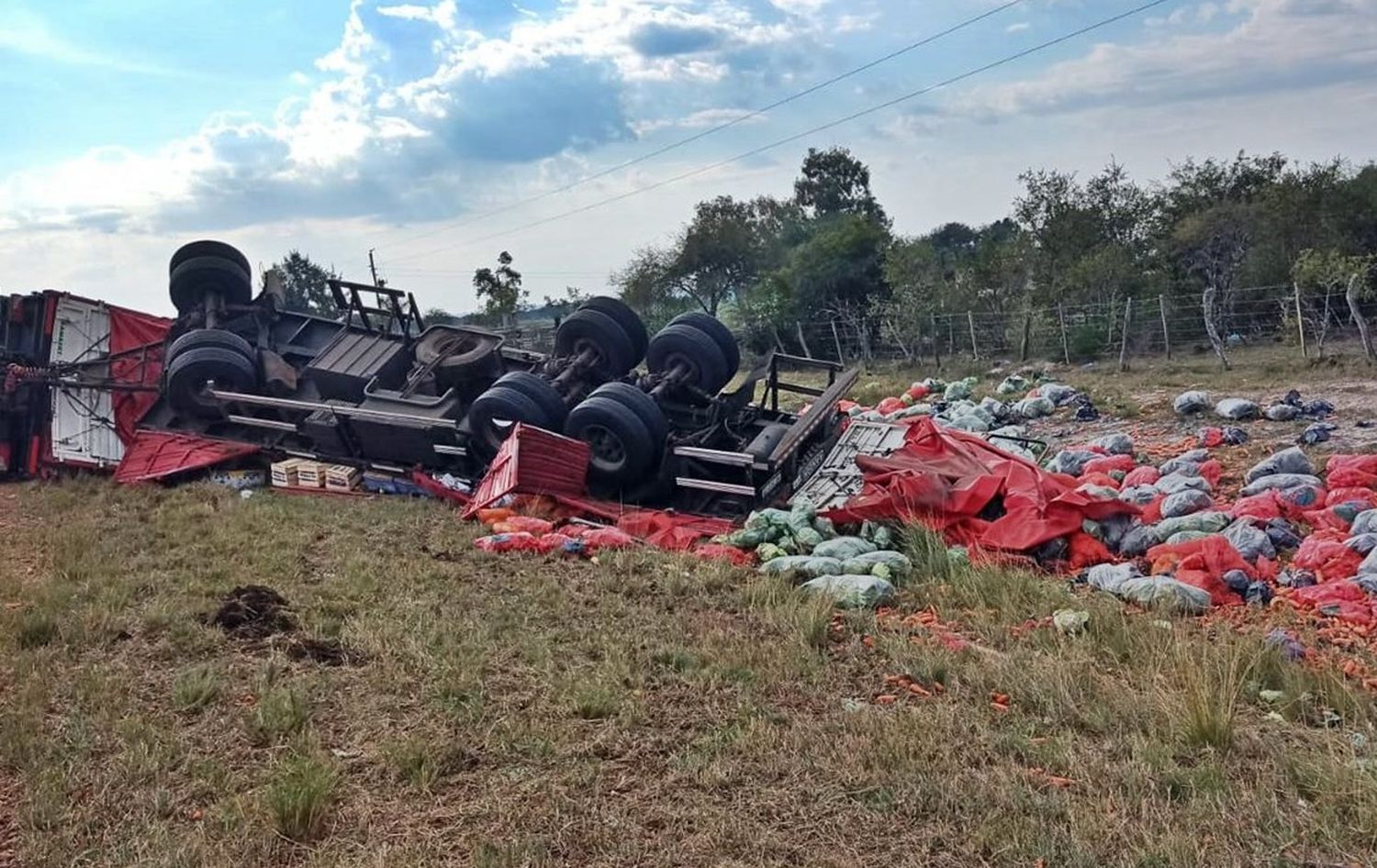 Un camión volcó en la Autovía 14 y desparramó la carga de frutas y verduras