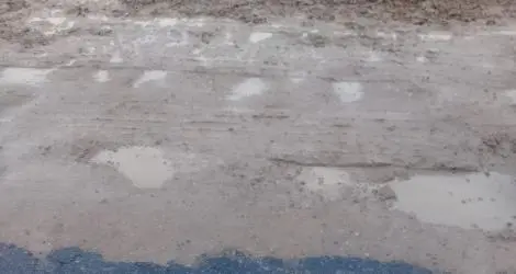 Reporte: “Precaución en Ruta 1001”