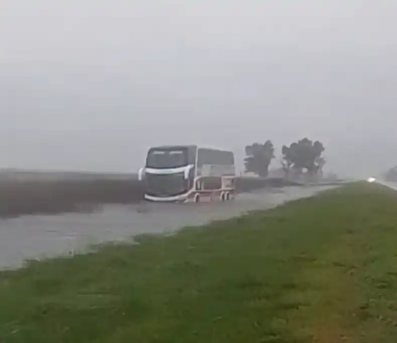 Un micro quedó varado en una zanja de la ruta 5