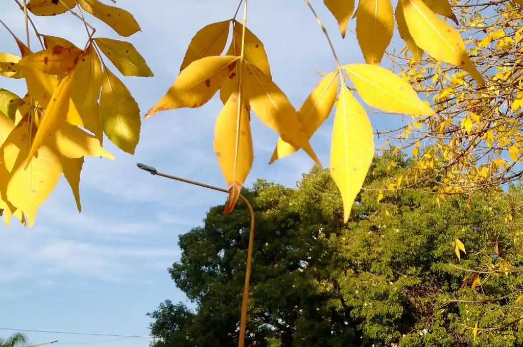 Viernes ligeramente nublado en la ciudad de Santa Fe