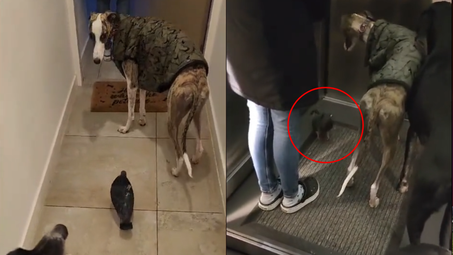 Una tierna amistad