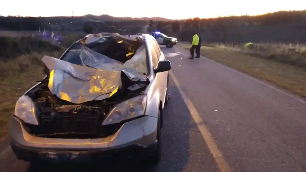 Conductor quedó internado en terapia intensiva tras embestir un caballo con su camioneta
