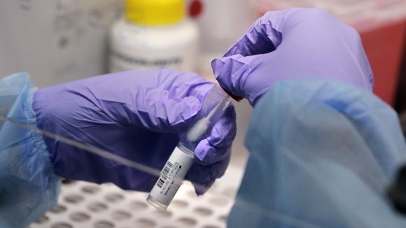 Coronavirus: con 12 positivos, los casos activos son 74