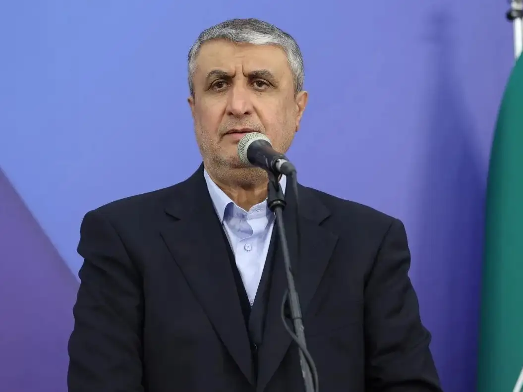 Mohammad Eslami, presidente de la Organización de Energía Atómica de Irán.