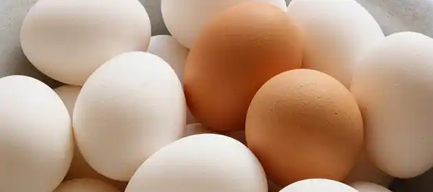 Comenzó la Semana Mundial del Huevo