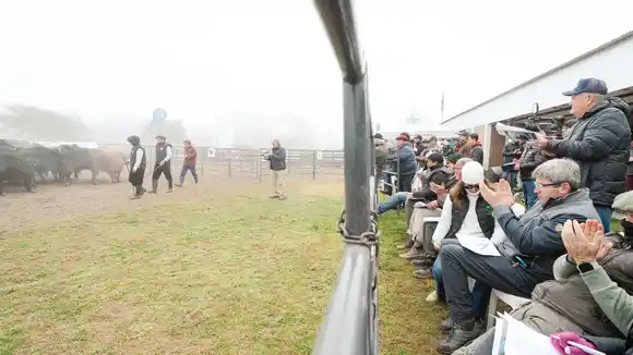 El gobierno acompaña el esfuerzo privado por sumar valor a la ganadería entrerriana