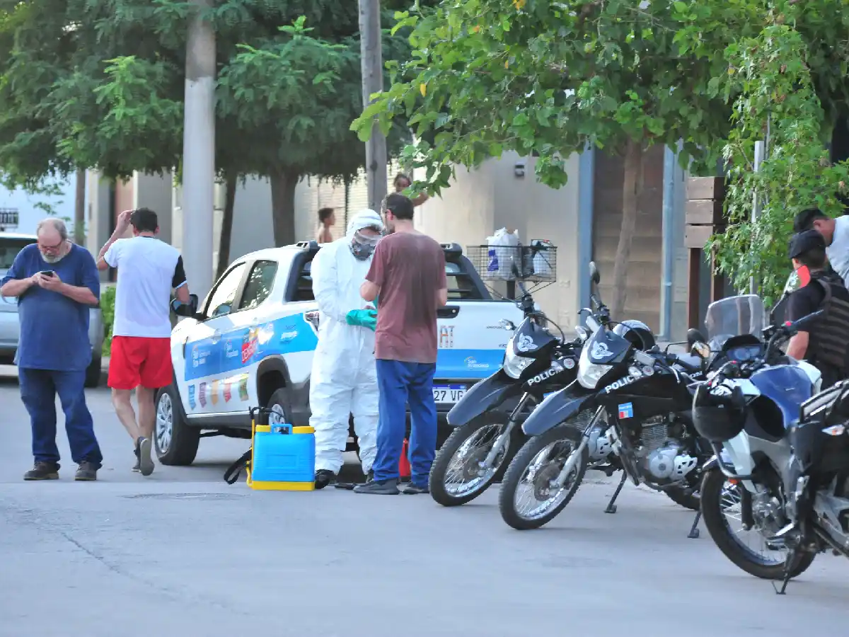 Confirmaron el primer caso de dengue en San Francisco