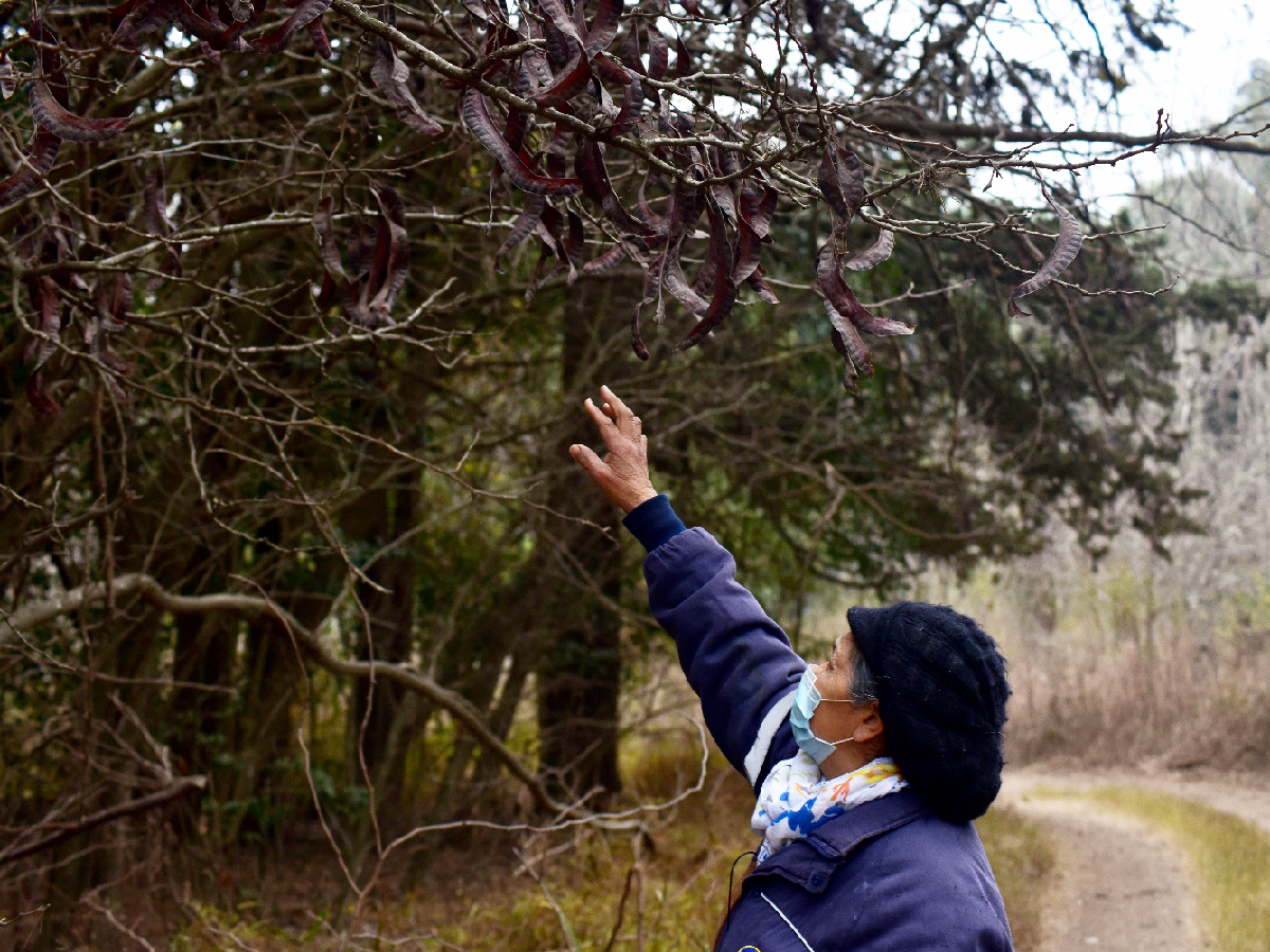 El verdadero bosque de Winden está en San Francisco