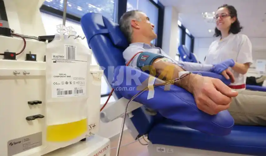 Tras un año del tratamiento con plasma, cuáles son los resultados y por qué recomiendan donar