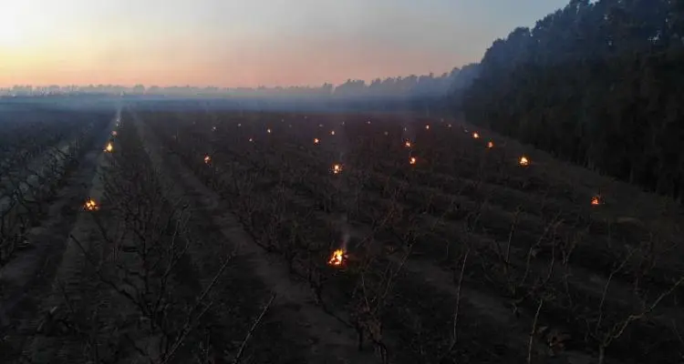 Inta registró temperaturas bajo cero en su primer servicio de alarmas del año