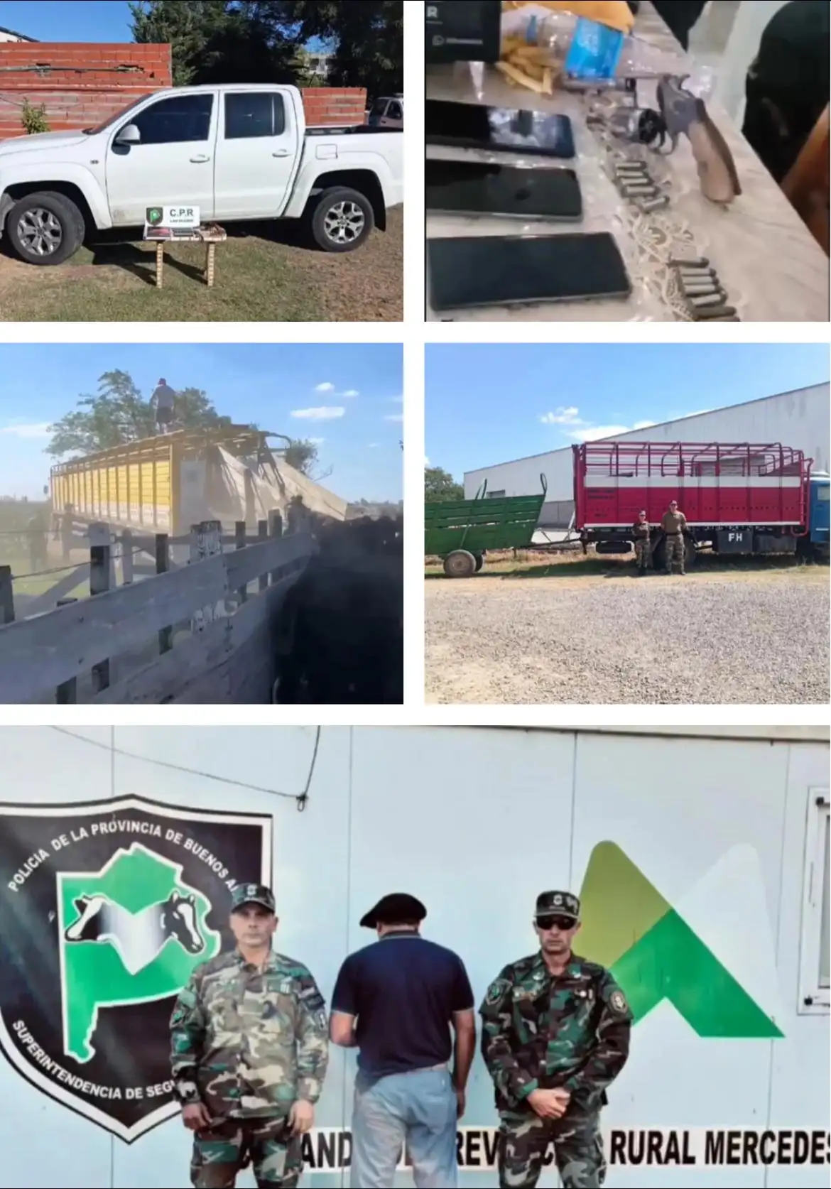 Tras una investigación policial, recuperan animales robados a un productor rural