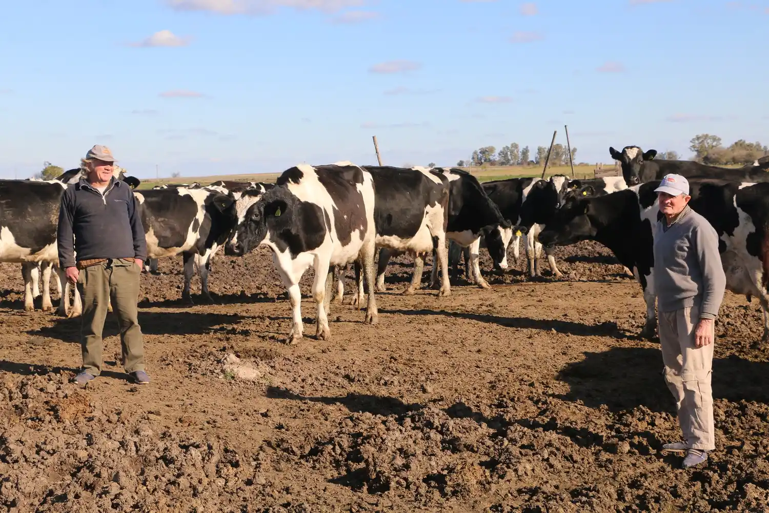 Se profundiza el cierre de tambos y la concentración en pocas manos