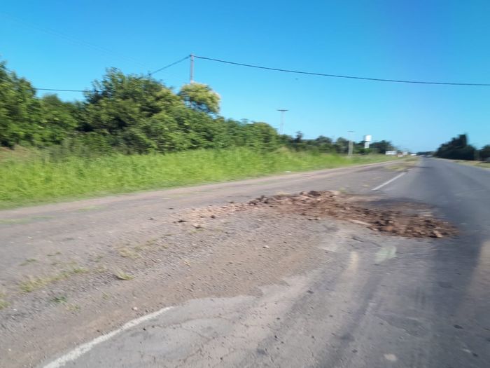 Baches 1001