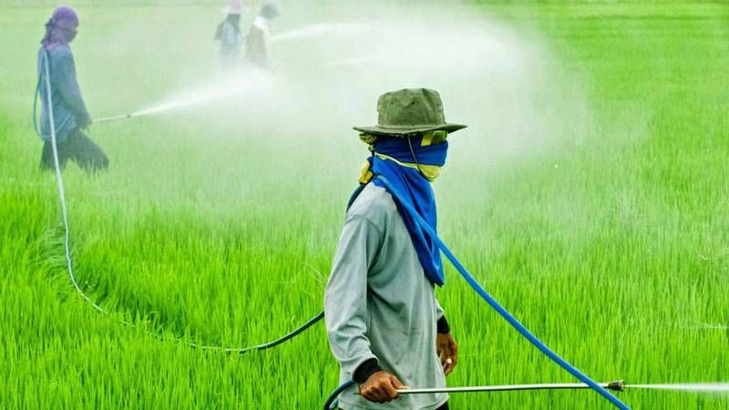 La Universidad del Litoral descubrió los daños del glifosato mezclado con arsénico