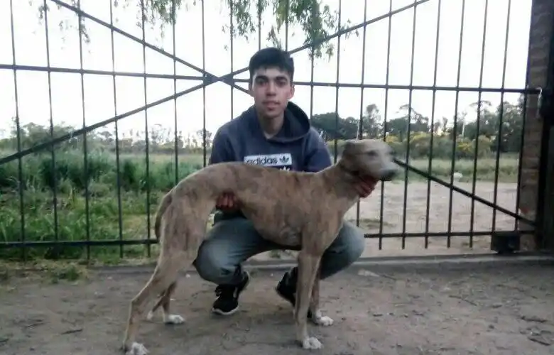 Gonzalo Burgos 3