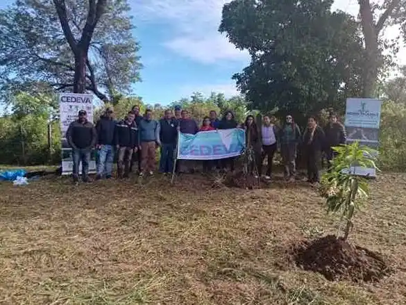 Jornada sobre manejo agronómico y protección
de plantas de mango en épocas de heladas