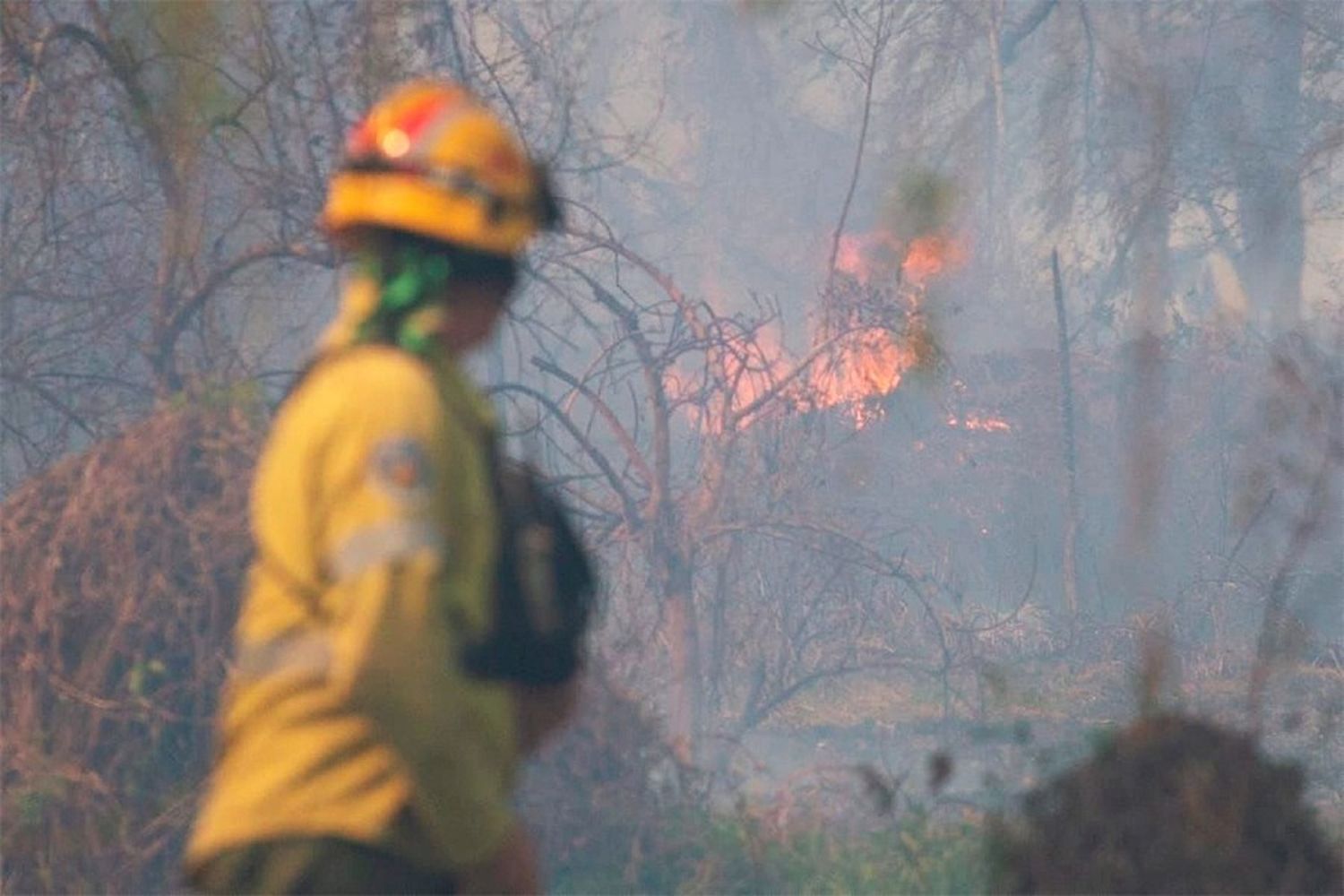 Incendios en el Delta: el humo afecta la calidad del aire en Rosario y áreas cercanas