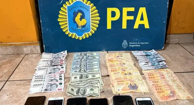 Parte del botín recuperado. Fotografía PFA.